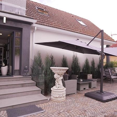 Târgu-Mureş Vivo House B&B 외부 사진